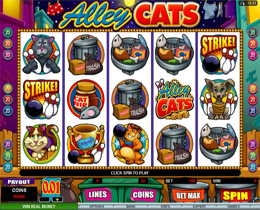 Alley Cats - Animal Themed Slot Game