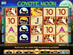Coyote Moon Slot Screenshot