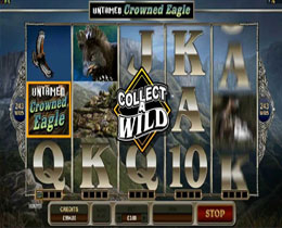 Untamed Crowned Eagle Slot Screenshot