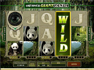 Untamed Giant Panda Slot Screenshot