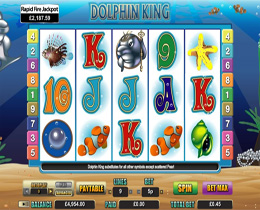 Dolphin King Slot Screenshot