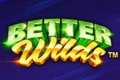 Better Wilds Slot by Playtech