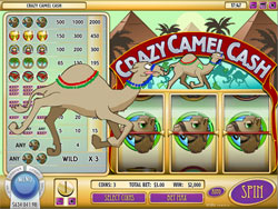 Crazy Camel Cash Slot Screenshot